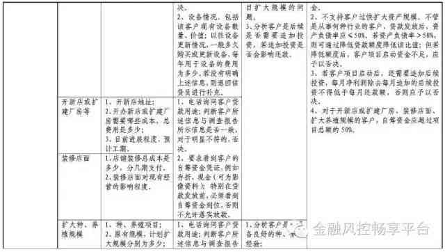 全面贷款申请调查分析报告：涵审批流程、风险评估与还款策略解析