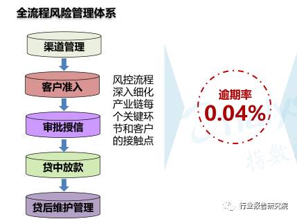 全面贷款申请调查分析报告：涵审批流程、风险评估与还款策略解析