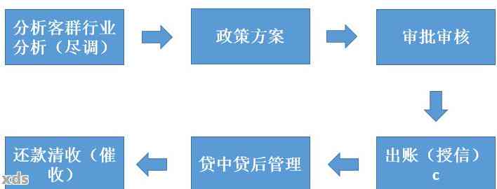 全面贷款申请调查分析报告：涵审批流程、风险评估与还款策略解析