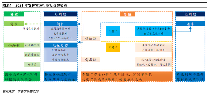 《自媒体矩阵搭建：目的、成本、案例全方位解析》