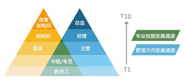 体制内写作人才职业发展攻略：全方位解析晋升路径与技能提升策略