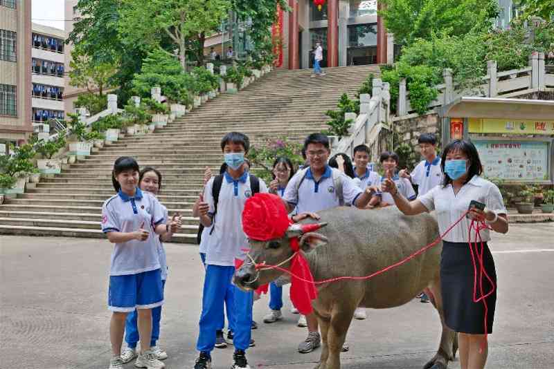 '牛气冲天：小牛语文AI助力阅读理解与写作技巧提升课程'