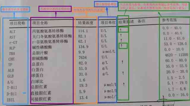 可以查体检报告的应用叫什么：软件名称及功能介绍