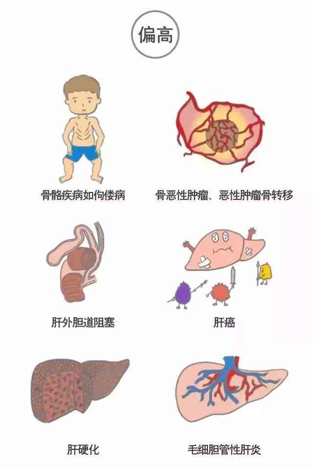 智能体检报告解读助手——全面数据分析软件