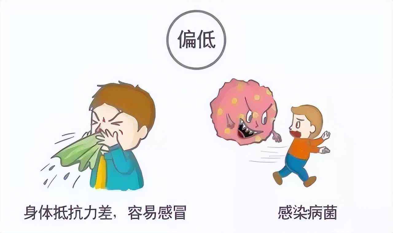 智能体检报告解读助手——全面数据分析软件