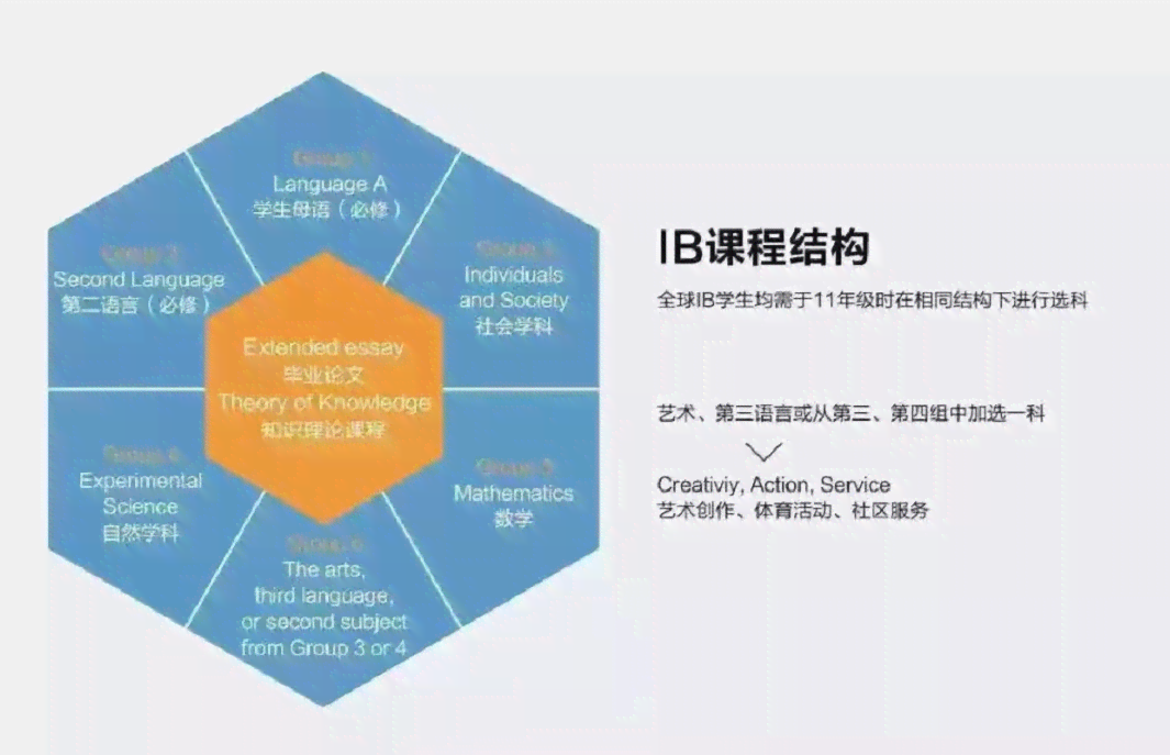 探索剑桥IB课程：全面解析国际教育新标准