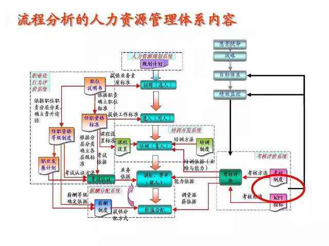 全球视野下的经典策划案例：国际市场成功策略解析