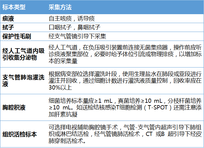 AI系统崩溃报告处理指南：快速定位与修复策略