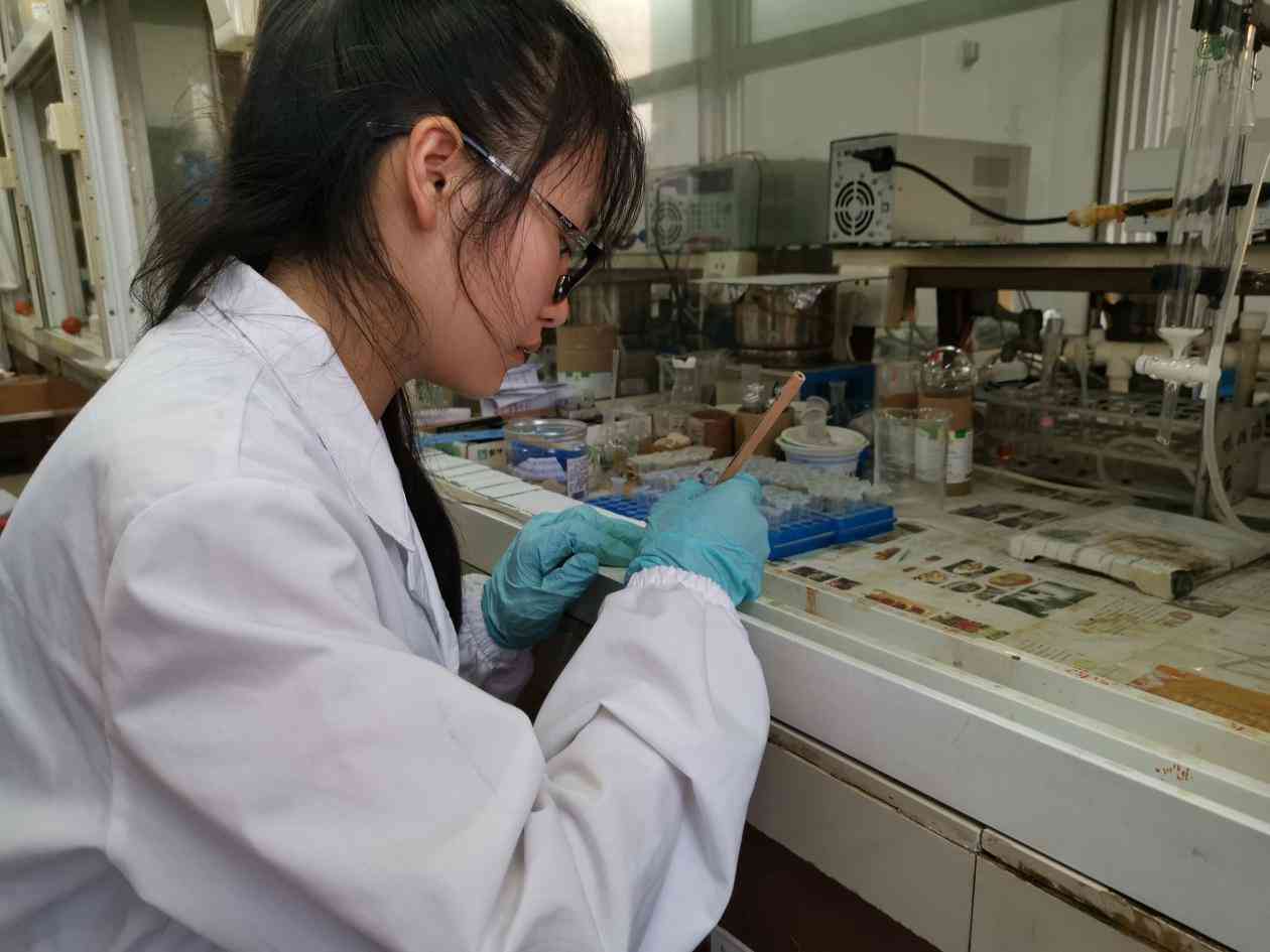 论文开题报告万能模板：工科、幼儿、食品安全通用框架