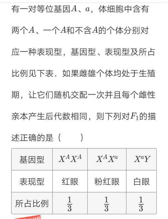 写作猫AI有次数吗怎么看：写作猫表现如何及使用频率解析