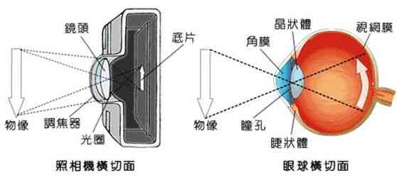 全面解析眼底相机检查的重要性及其在眼科疾病诊断中的应用