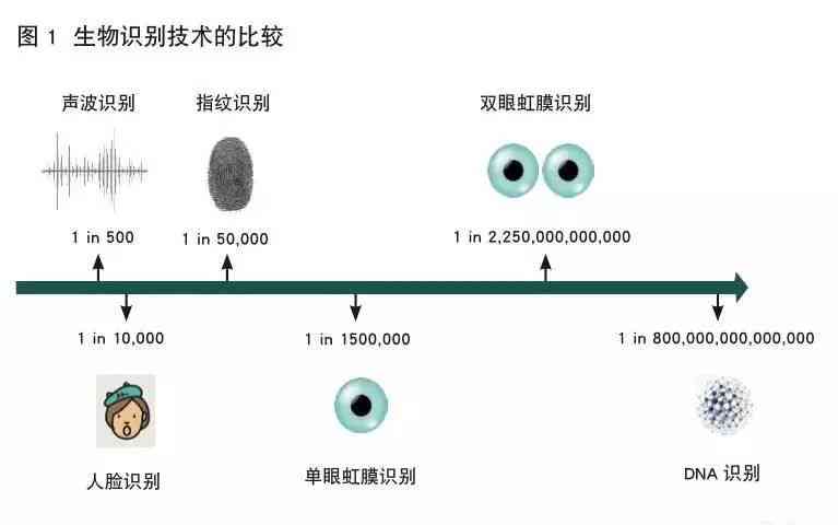 深度解析：报告中AI技术的应用与影响，揭秘信用评估新趋势