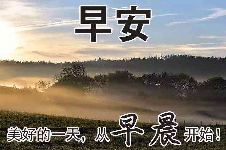 AI智能创作助手：全方位辅助撰写各类文案，解决用户搜索痛点与需求