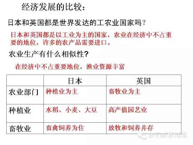 ai实训报告步骤：撰写方法、详细内容与总结要点