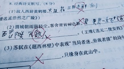 小爱作文攻略：全方位技巧指导与实例分析，助你轻松写出高分作文