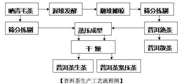 AI技术在动画创作中的应用：从剧本到成品的全流程解析与实践