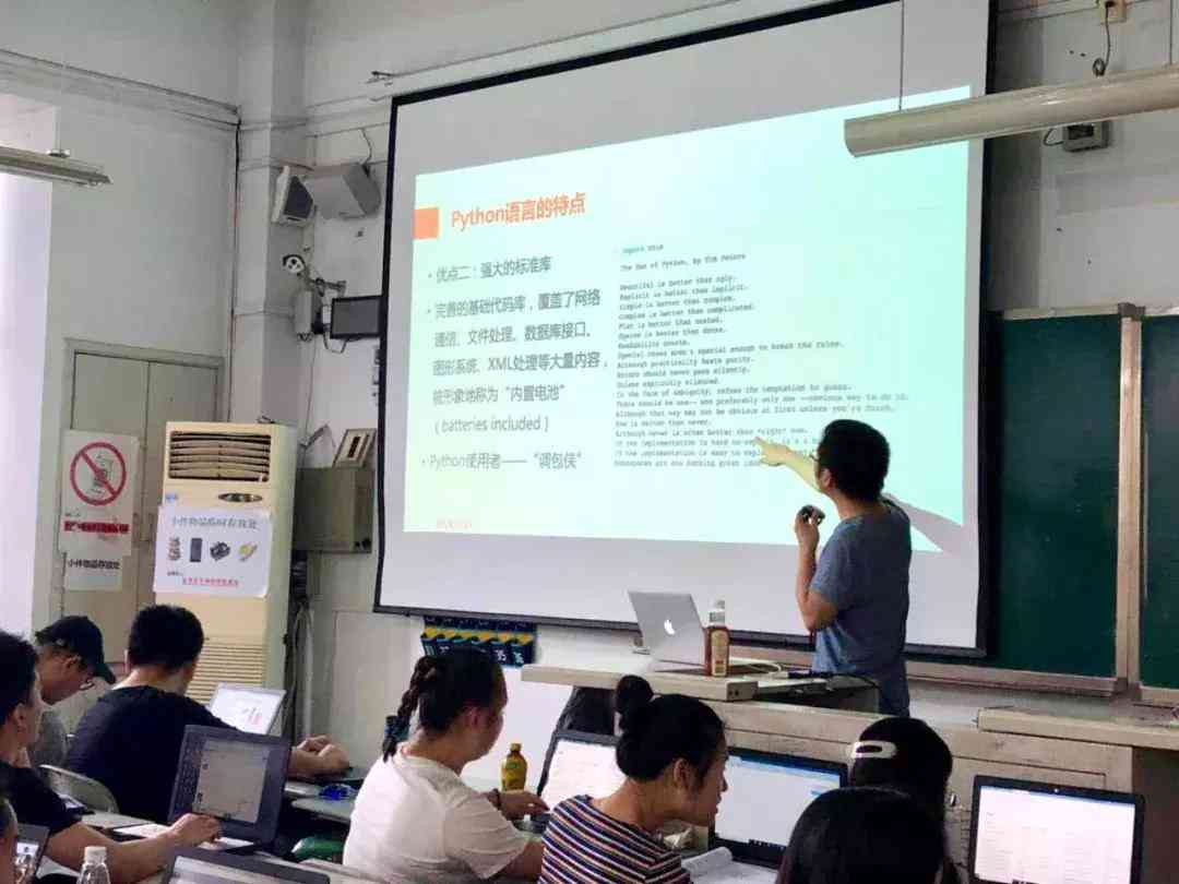 人工智能实训项目综合总结报告：技能提升、应用实践与未来展望