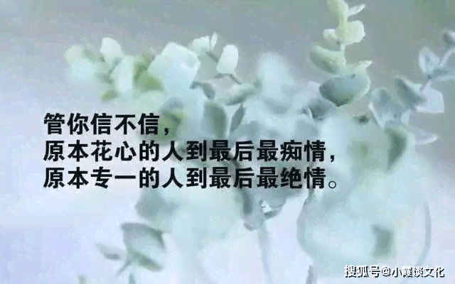 馨乡愁：家乡短句清新治愈，心灵小憩