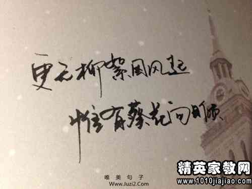 爱情照片说说合集：伤感句子、心碎语录与情感疗愈短语全收录