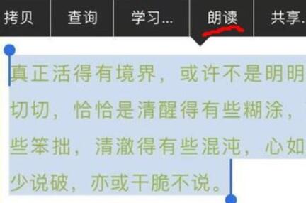 如何利用语音功能在抖音上朗读文案：全面指南，涵语音选择与使用技巧