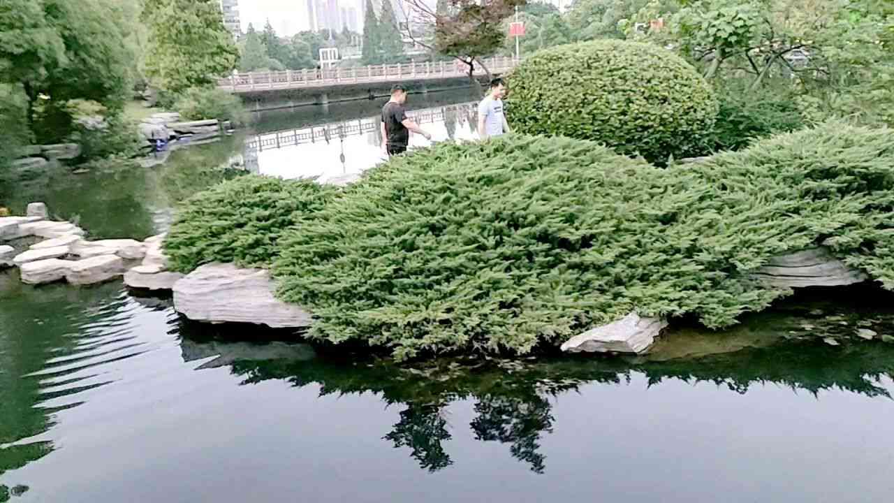 家乡风景写生——儿画捕捉美景