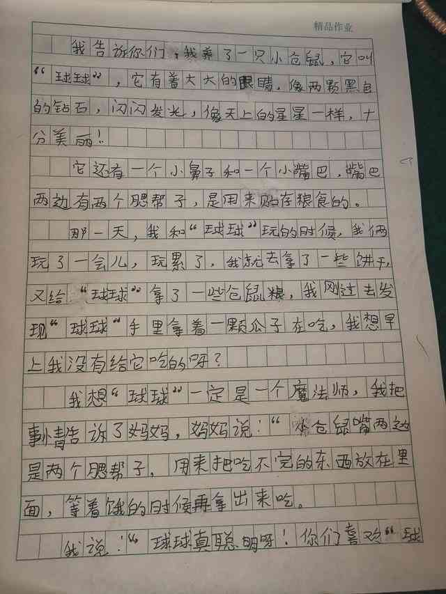 小狗仿写作文100-500字