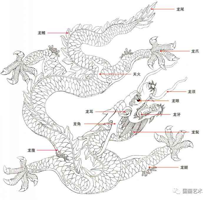 详解龙绘制技巧：从基础构图到细节完善全方位指南