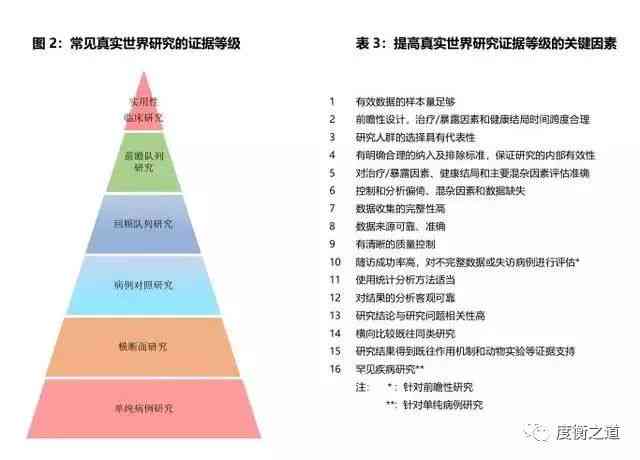 '全面评估必要性：深入分析报告中的全部评估对象案例'