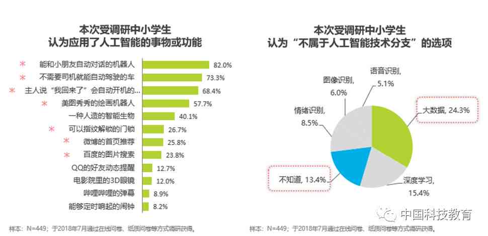 '暑期AI智能应用与青少年社会实践现状调研报告'