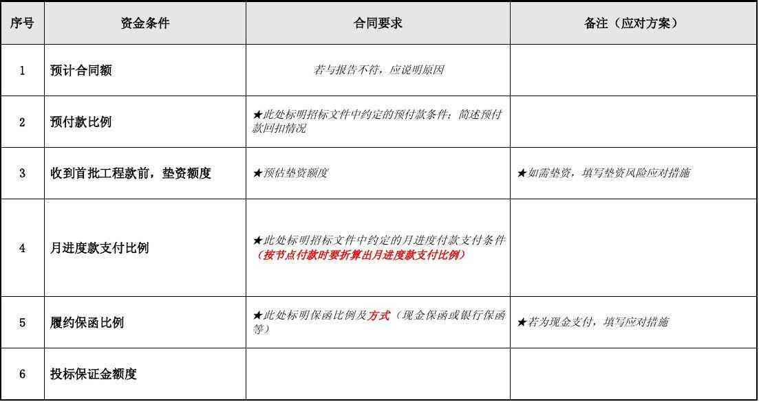 '项目预审综合情况分析报告模板'