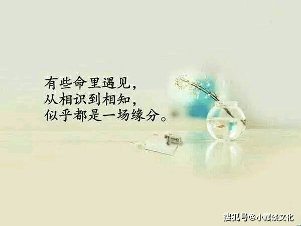 心灵鸡文案句子简短唯美短句集锦