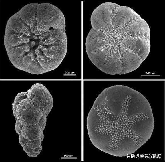 探索国产生物智能写作利器：论文G全方位助力学术研究与创作效率提升