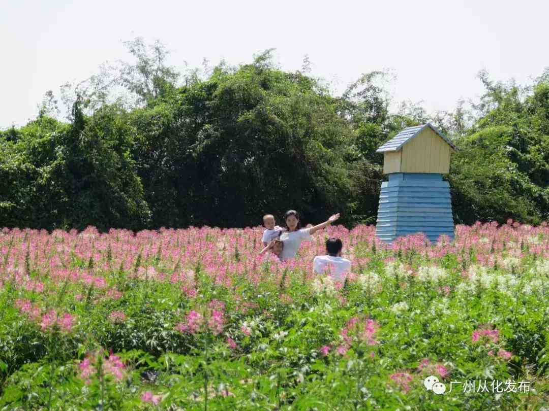 适趣AI阅读打卡文案怎么写：打造独特阅读记录指南