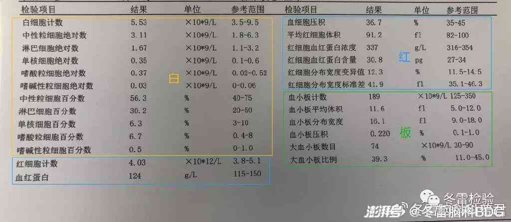 AI智能全面解读血液检测报告：从指标分析到健建议一站式指南