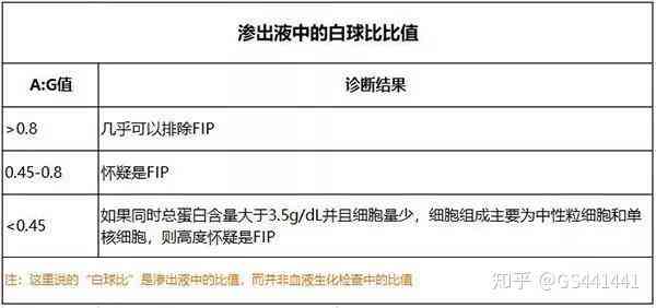 智能血液检测报告分析助手