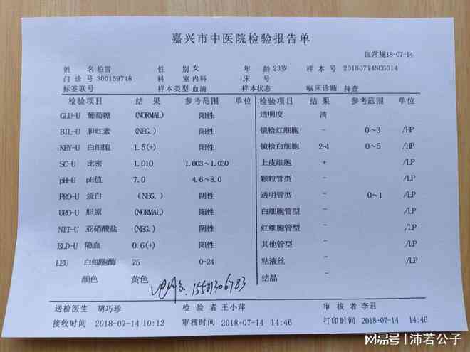 在线血液报告分析：验血报告解读与血检数据分析软件