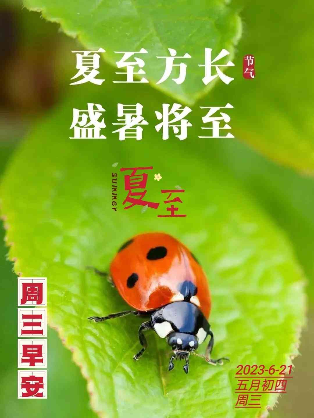 创意文案助手——西瓜写作小程序，助你妙笔生花