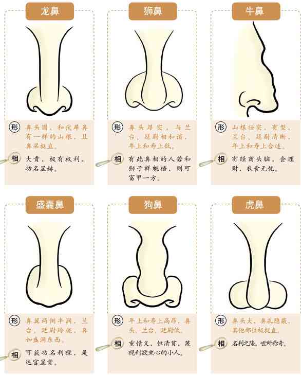 AI面相分析神器：全方位解析面相奥秘的智能体验