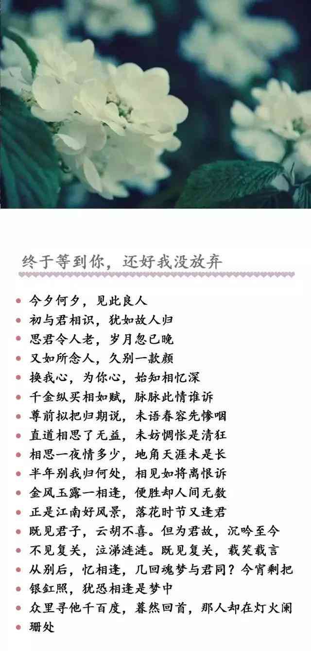 挽辞句子：挽辞挽诗写作指南及含义解析