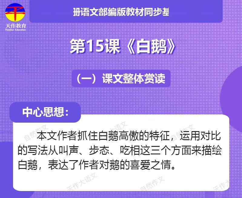 AI脚本存放位置指南：轻松掌握脚本部署技巧