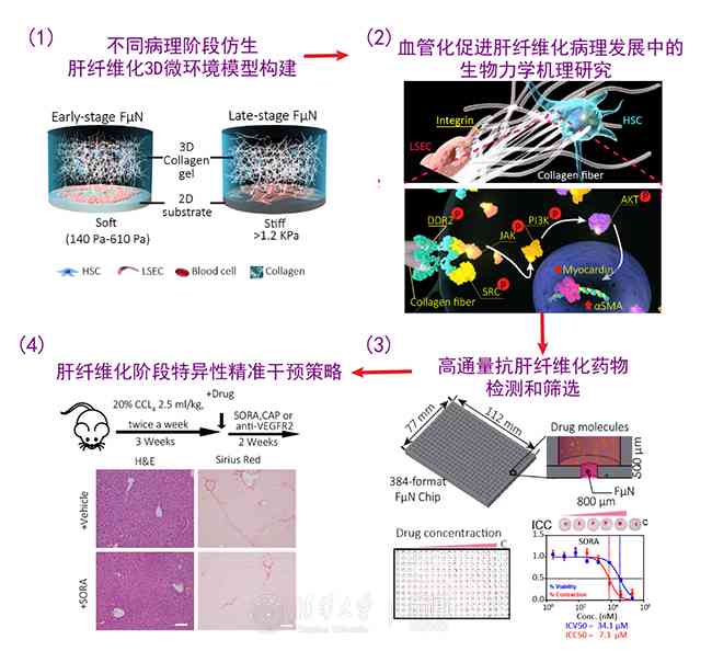 文库抄袭内容是否能通过查重检测：全面解析查重原理与应对策略