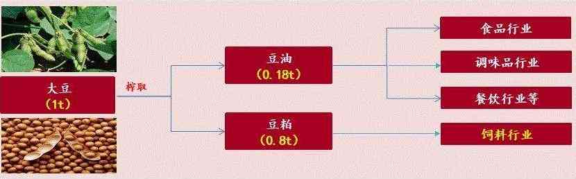 全面解析佳豆27：特性、种植技术及市场前景一览