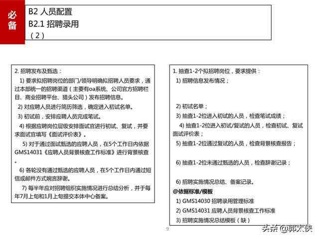 ai项目工程管理实践报告范文：撰写指导与示例