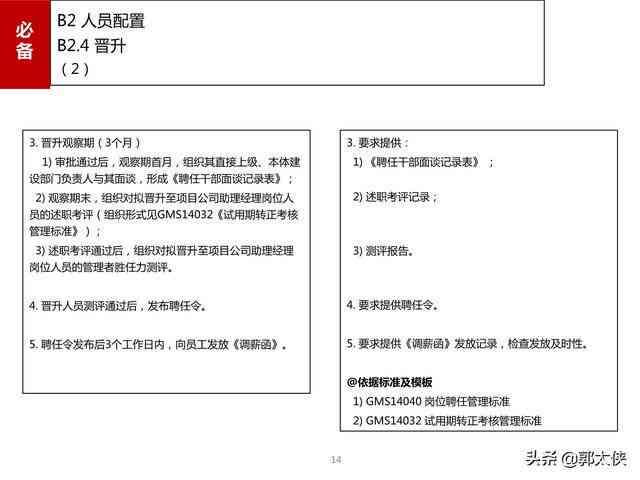 ai项目工程管理实践报告范文：撰写指导与示例