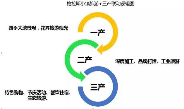 全球视野下的经典营销案例解析：国际实战策略与启示