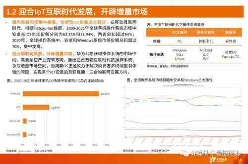 nai软件分析报告怎么做得更好：详尽制作指南