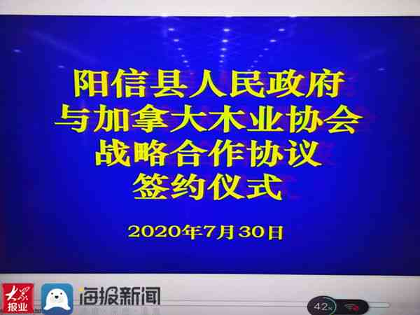 '赋能企业高效协作：钉钉全新文案标语创意集锦'