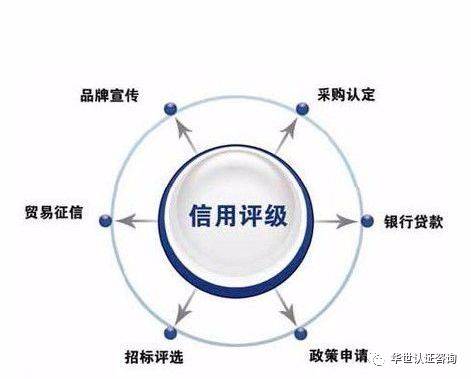 银行授信评级详解：AA 级信用额度、条件及申请流程全解析