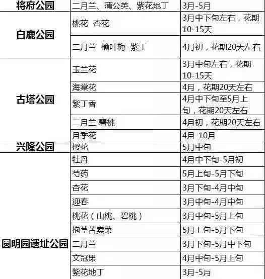 全方位探秘公园乐趣：漫步、娱乐、亲子活动一站式攻略指南