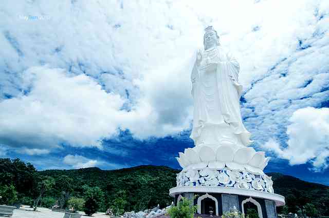 探索摩托车魅力：最新动态与创意文案集结